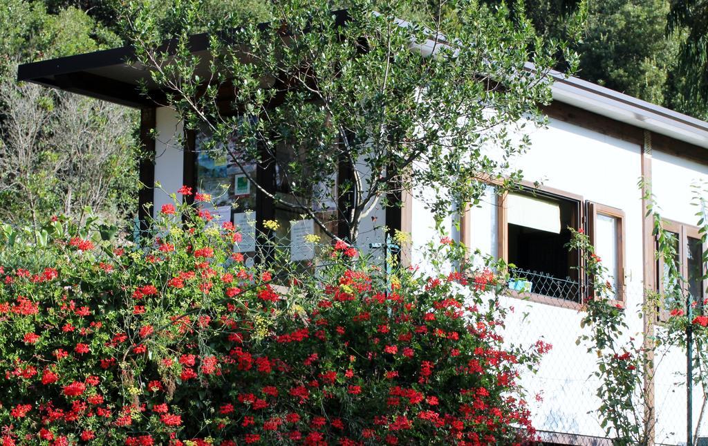 Elbadoc Camping Village Cavo Exterior photo